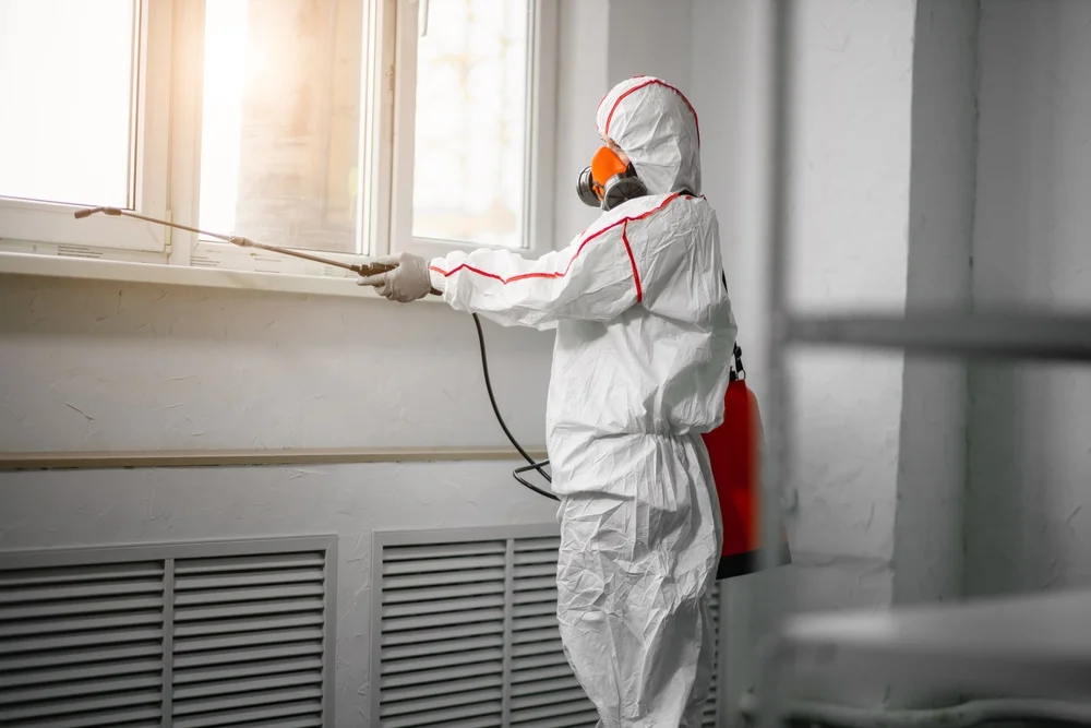 Professional mold remediation services in Doty, WA